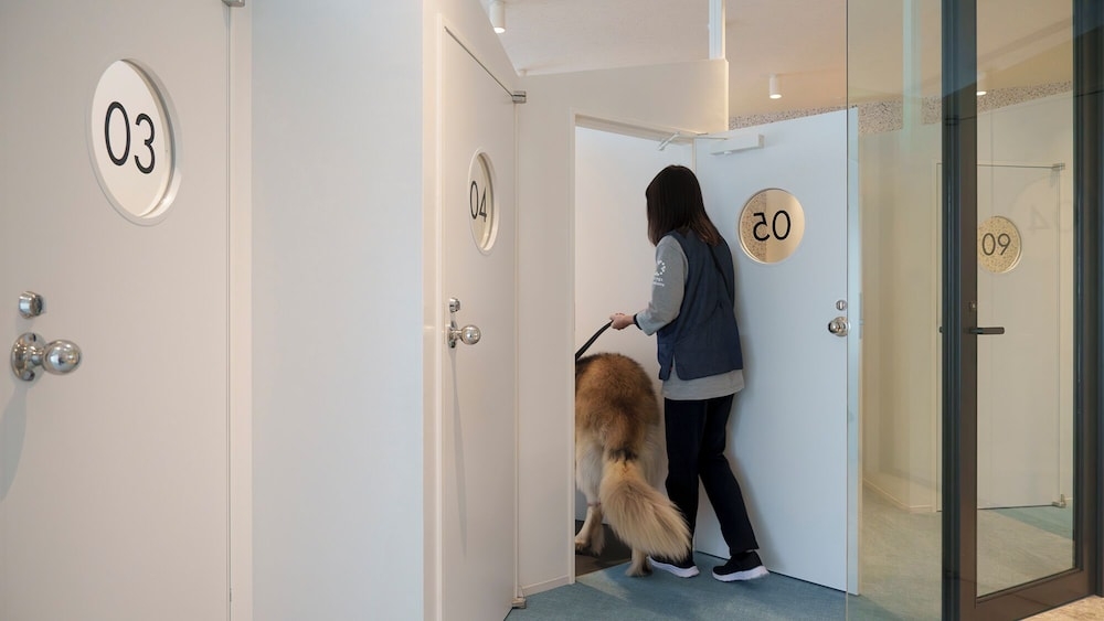 숙박 시설 내 편의 시설/서비스