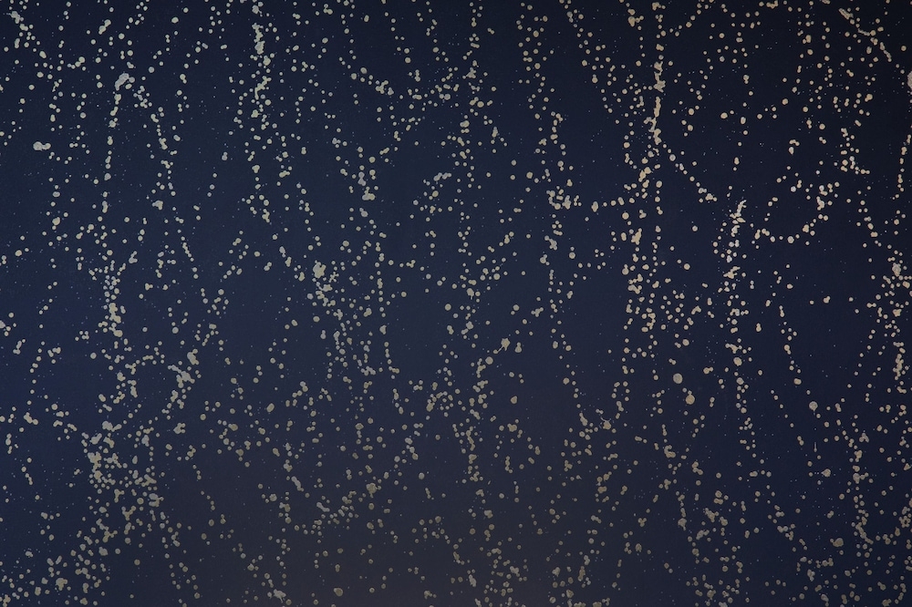 내부 세부 사진