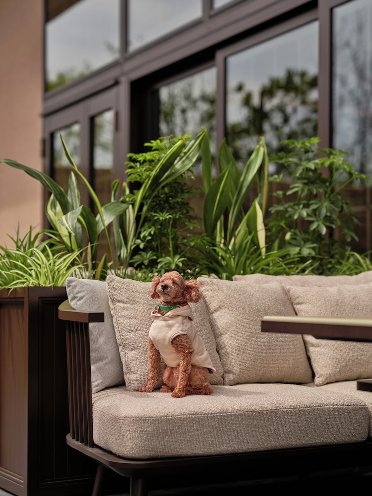 반려동물 동반 가능