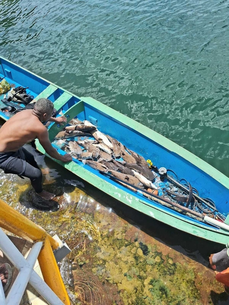 숙박 시설의 전망