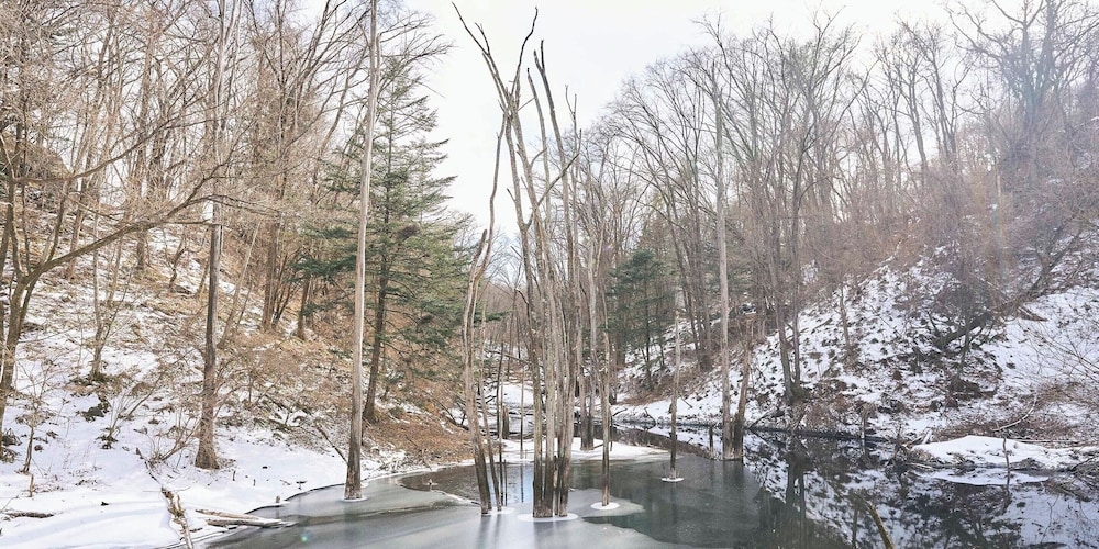 숙박 시설의 전망