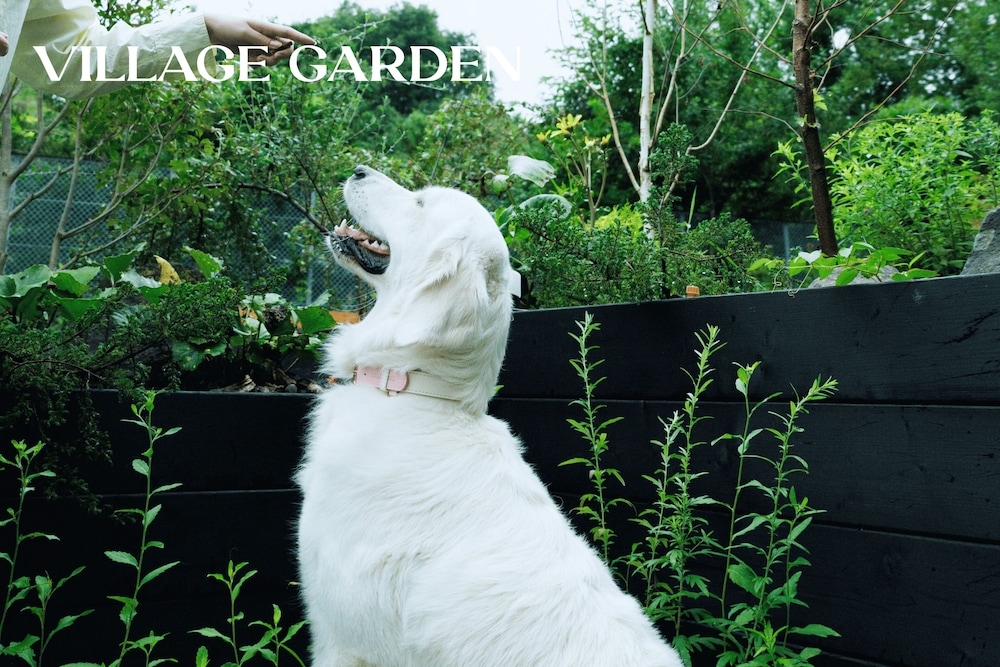 반려동물 동반 가능