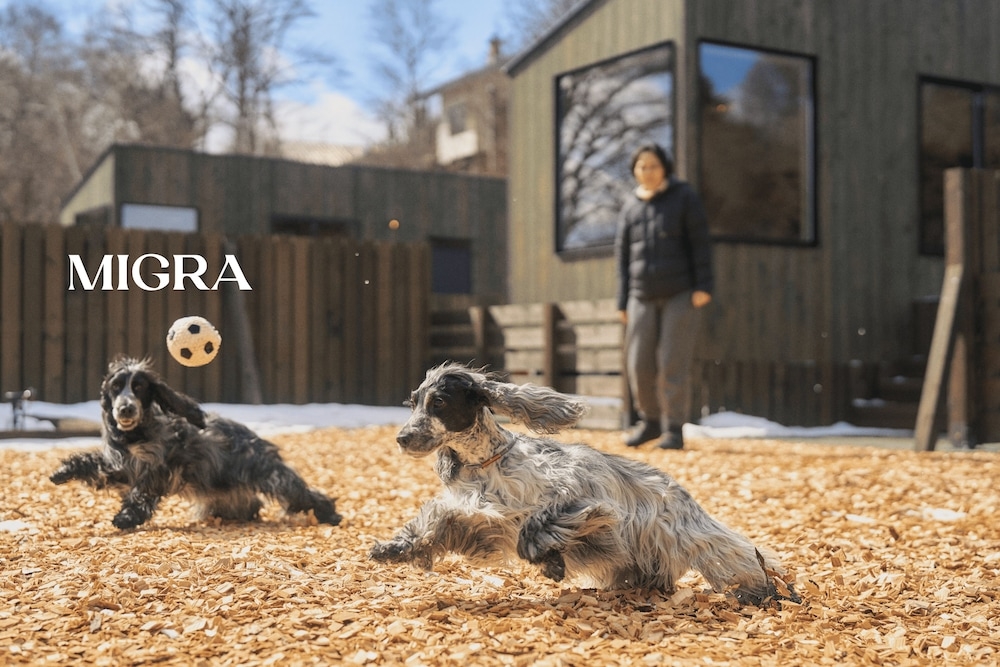 객실 내 편의 시설/서비스