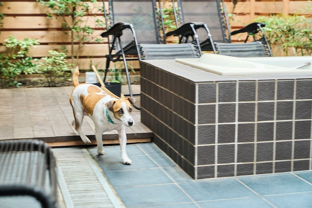 반려동물 동반 가능