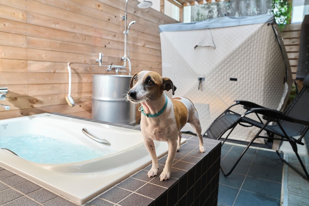 반려동물 동반 가능