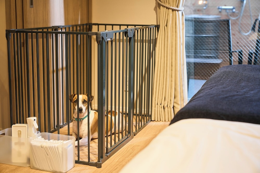 반려동물 동반 가능