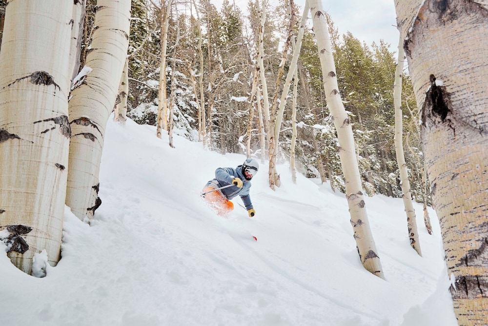 스키 및 겨울 스포츠