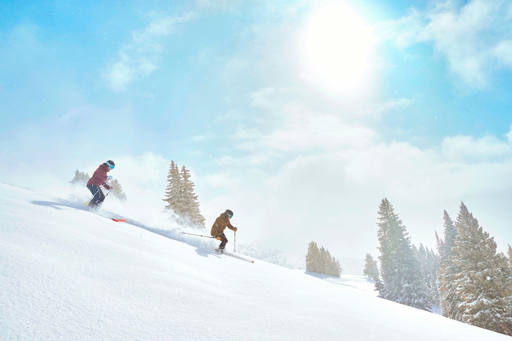 스키 및 겨울 스포츠