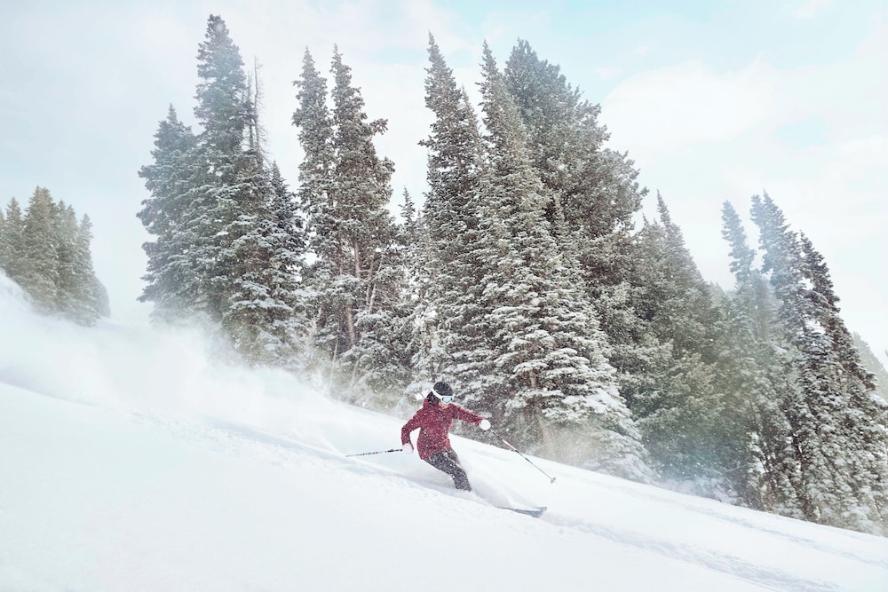 스키 및 겨울 스포츠