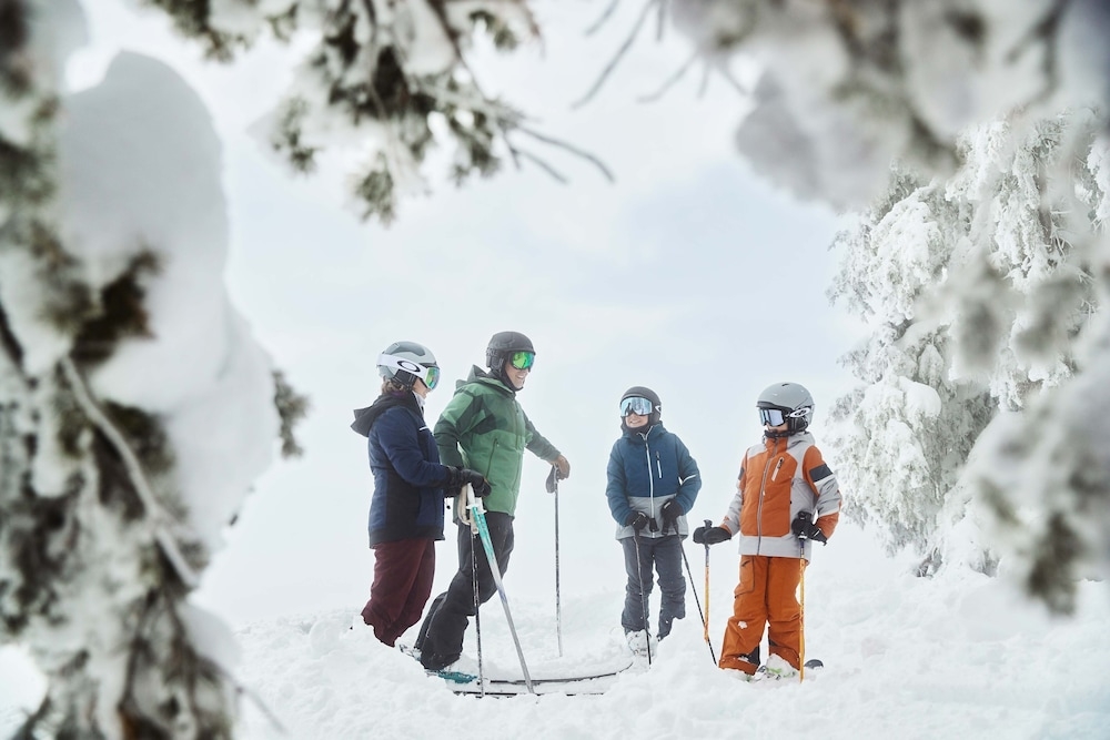 스키 및 겨울 스포츠
