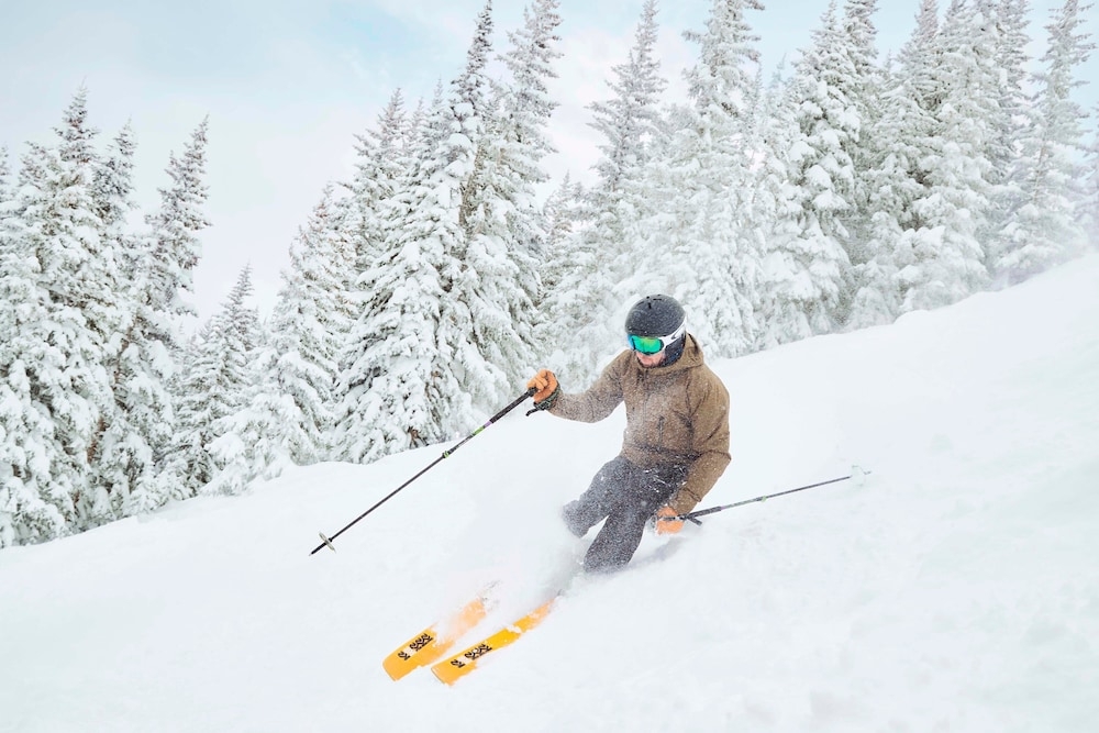스키 및 겨울 스포츠