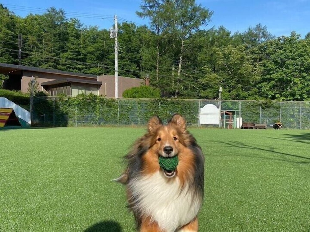 반려동물 동반 편의 시설