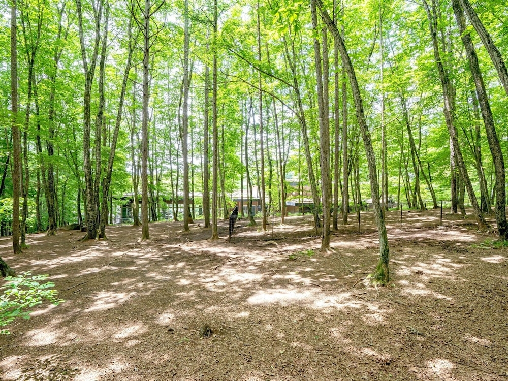 반려동물 동반 편의 시설