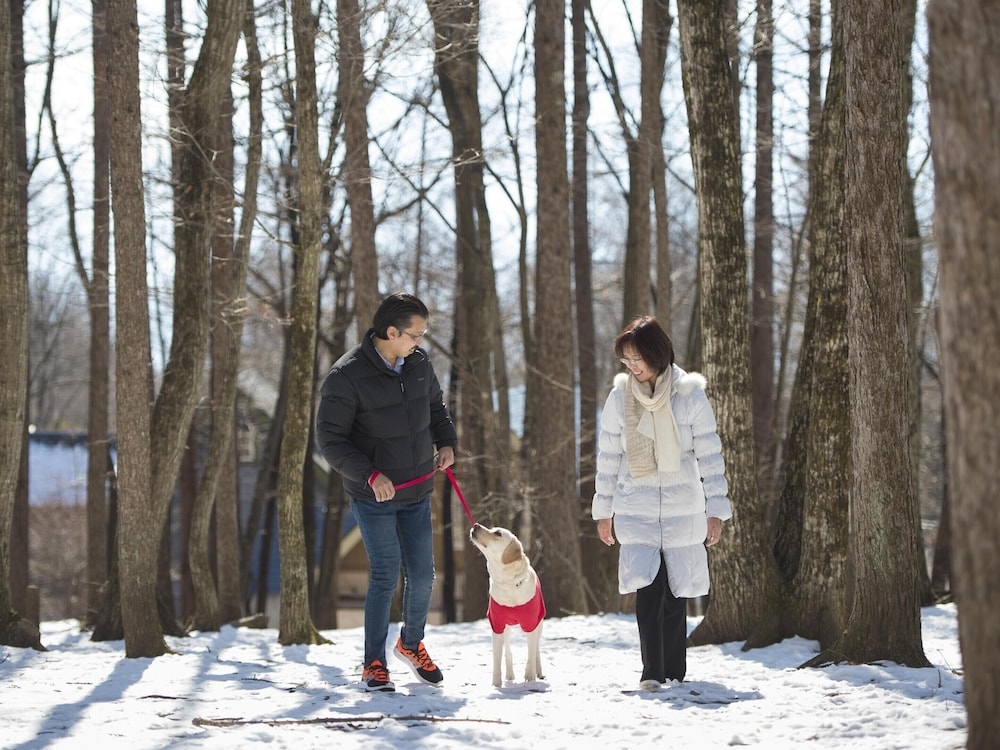 반려동물 동반 가능