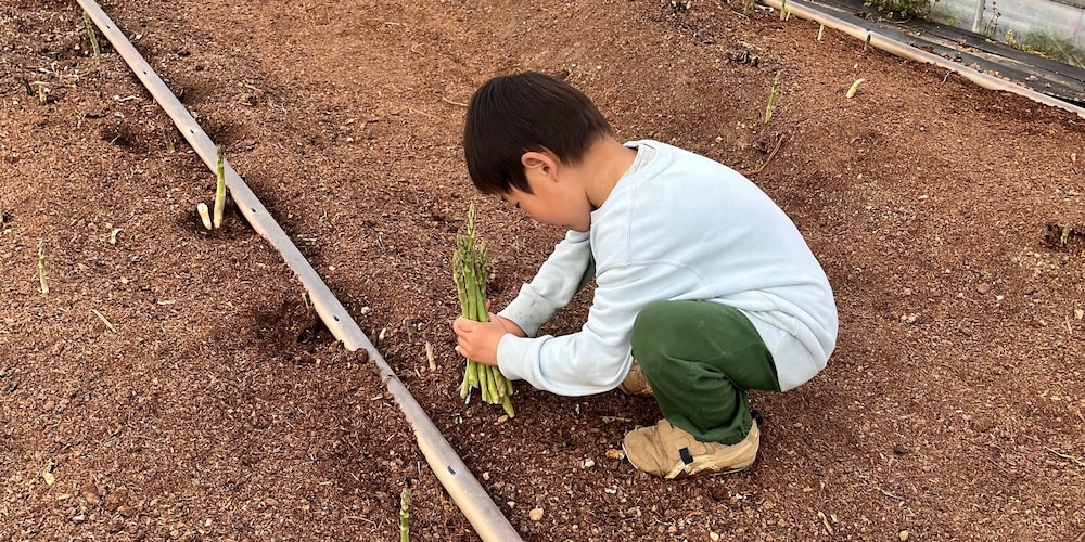 어린이 즐길거리