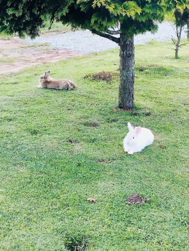숙박 시설 구내