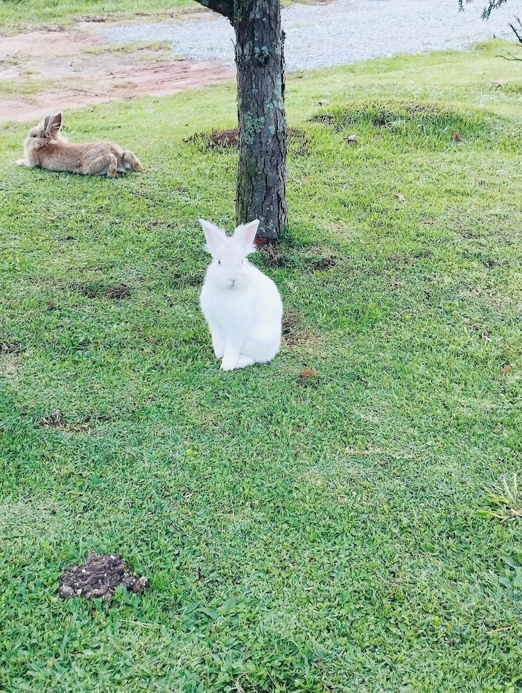 숙박 시설 구내