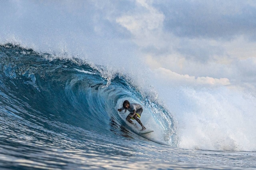 서핑/부기 보드