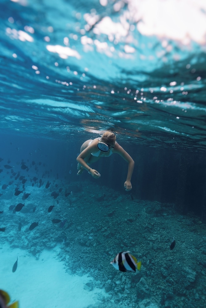 서핑/부기 보드