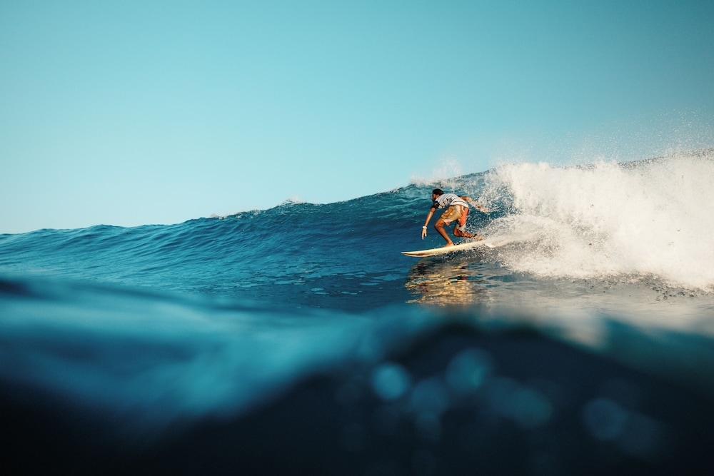 서핑/부기 보드
