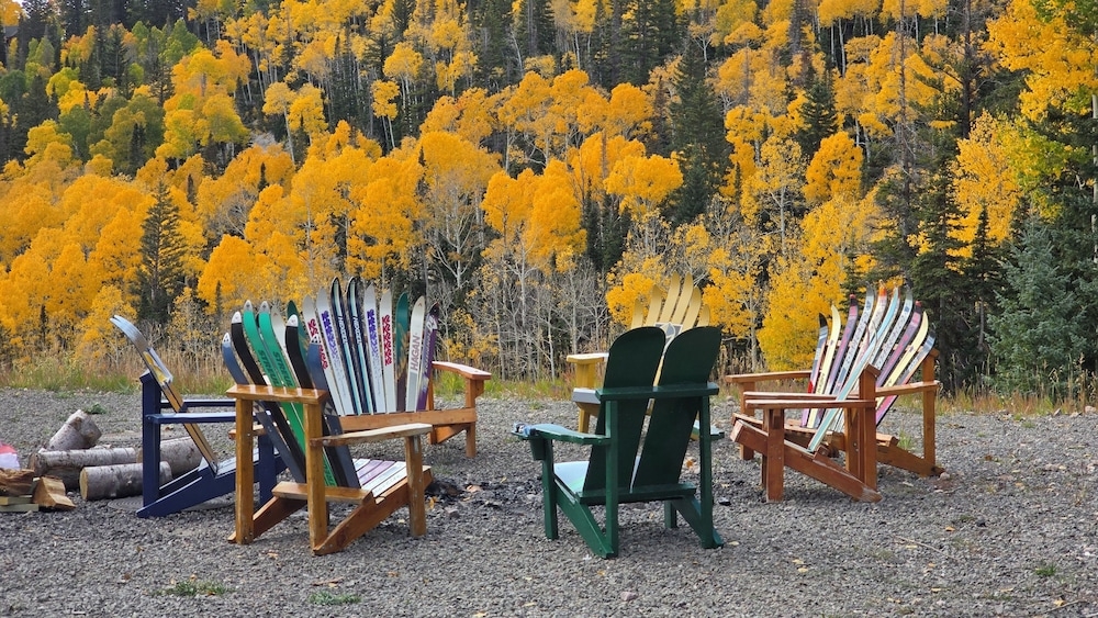 BBQ/피크닉 공간