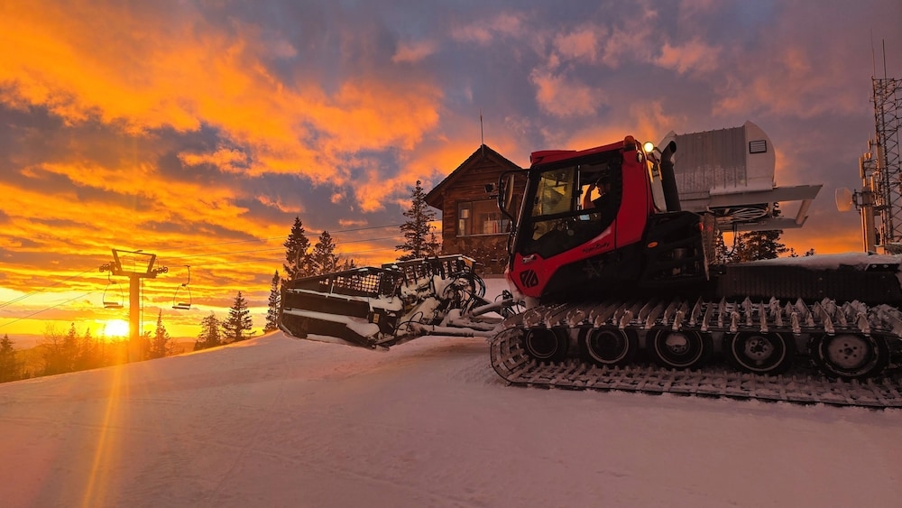 스키 및 겨울 스포츠