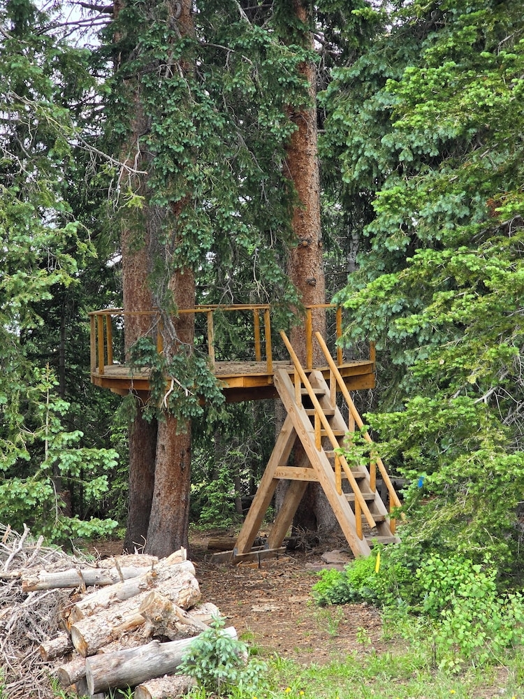 BBQ/피크닉 공간