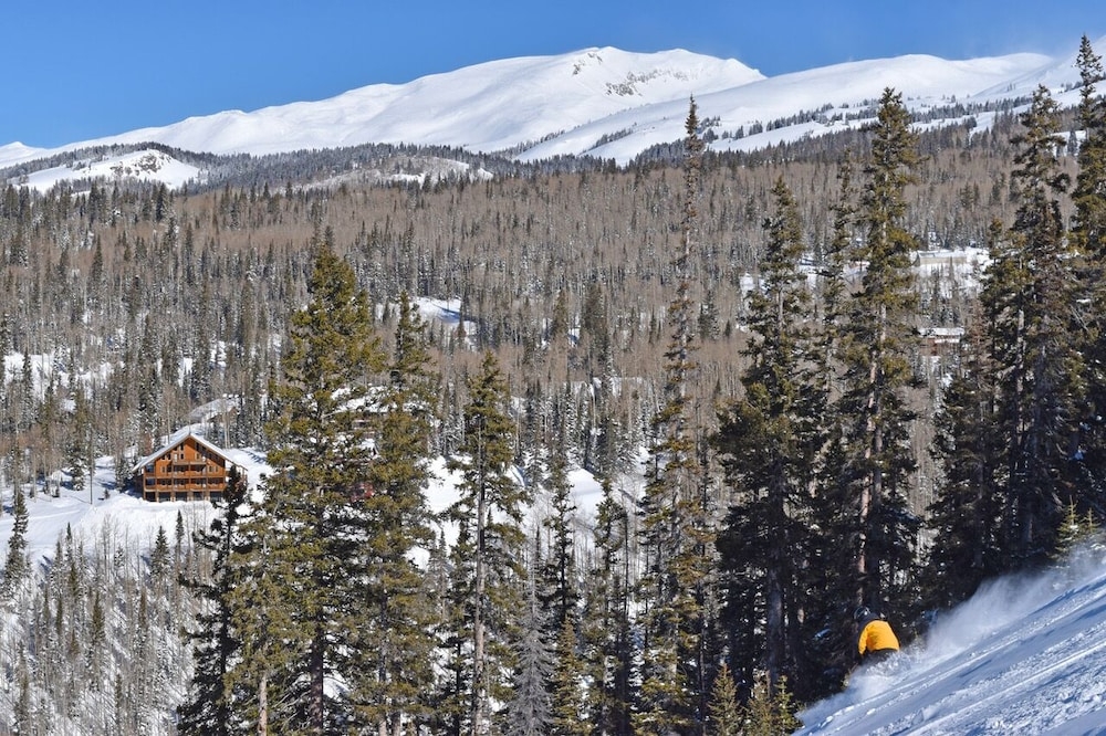 스키 및 겨울 스포츠