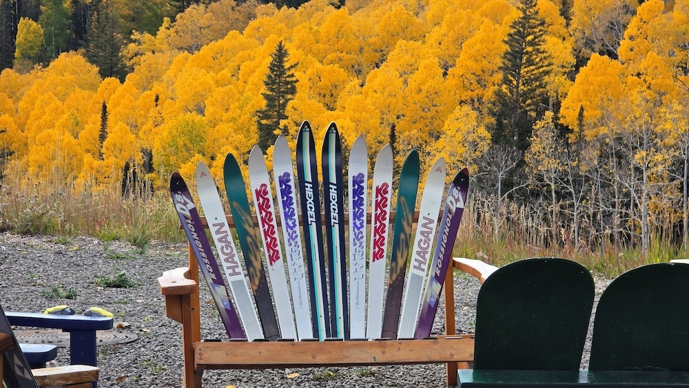 BBQ/피크닉 공간