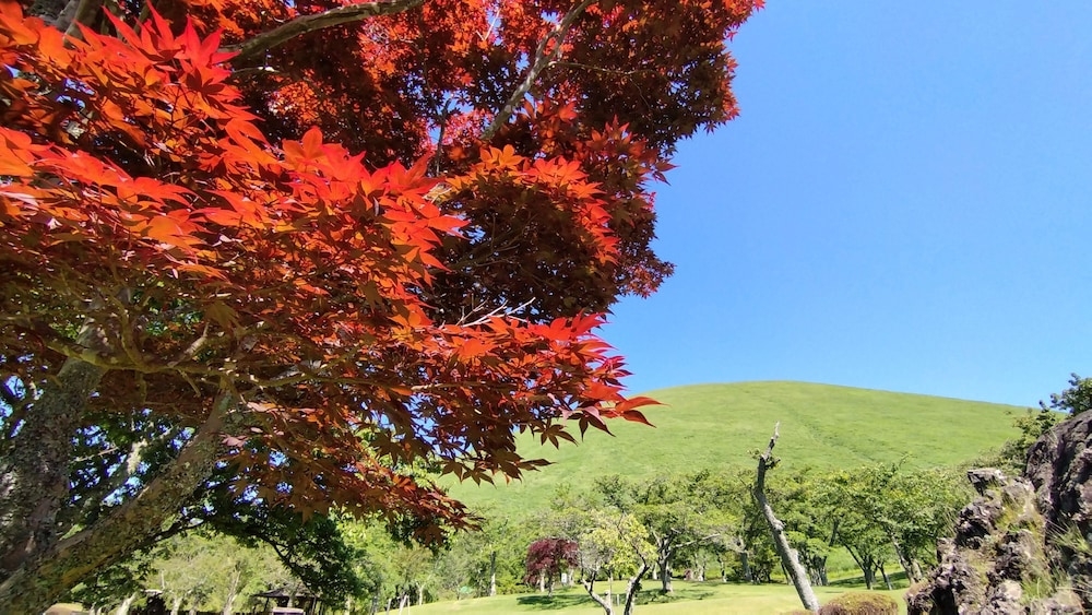 어린이 놀이 공간 - 야외