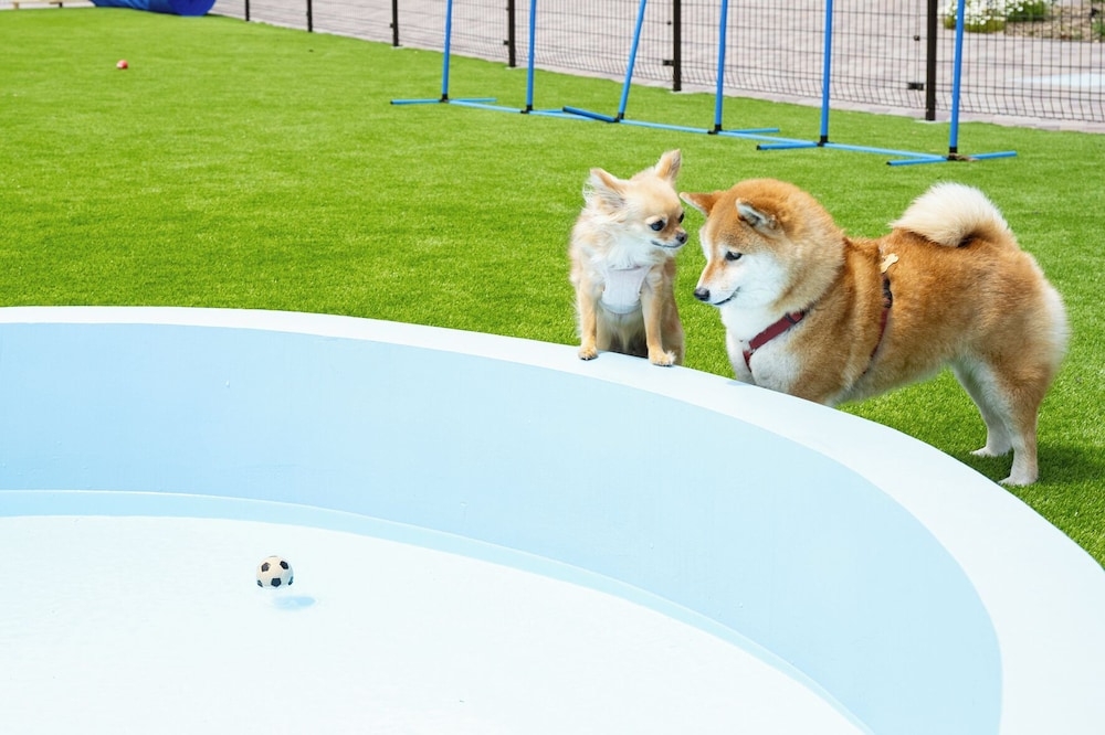 숙박 시설 내 편의 시설/서비스