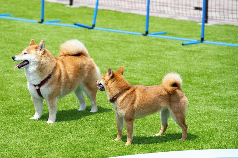 숙박 시설 내 편의 시설/서비스