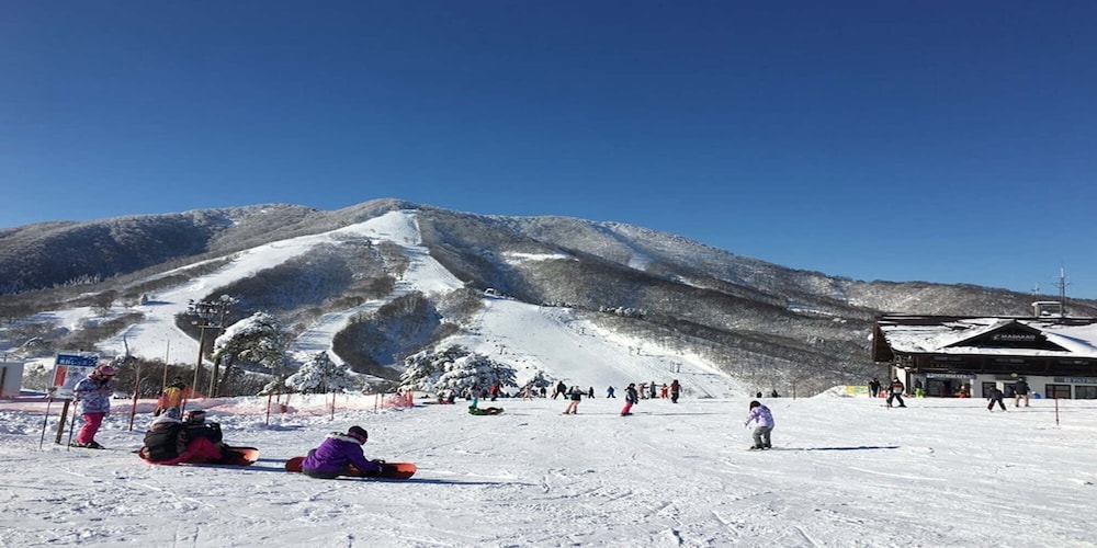 스키 및 겨울 스포츠
