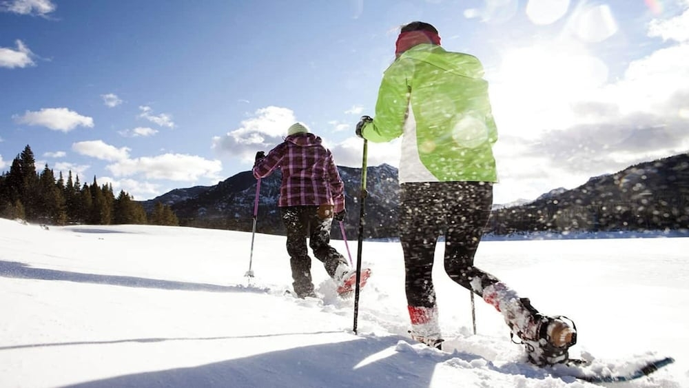 스키 및 겨울 스포츠
