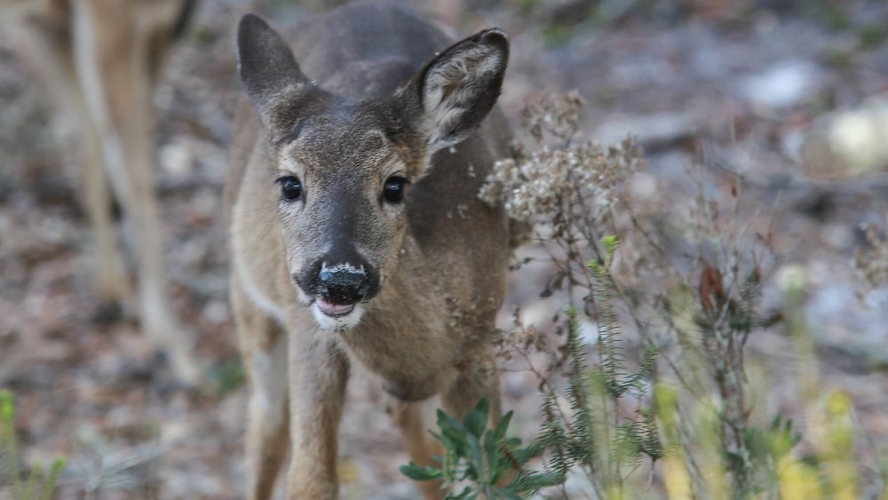 숙박 시설 구내
