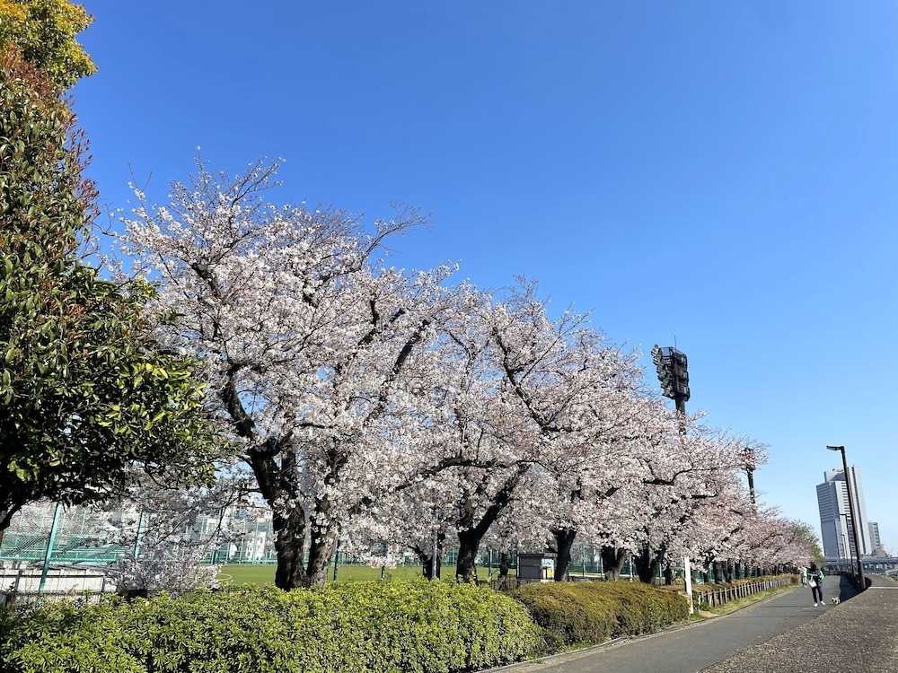 숙박 시설의 전망