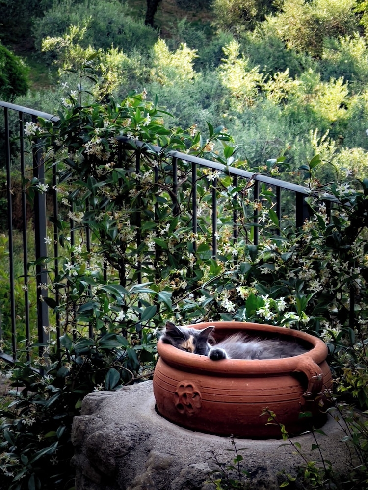 숙박 시설 구내