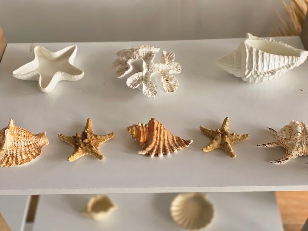 아침 식사 공간