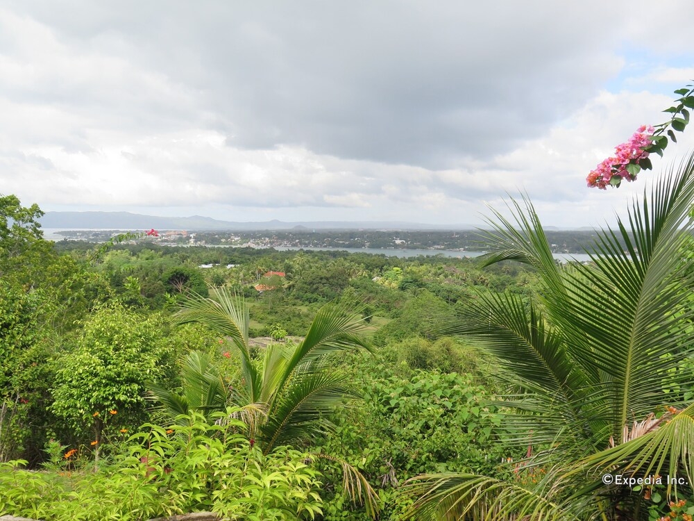 숙박 시설의 전망