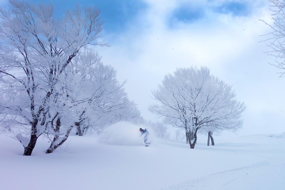 스키 및 겨울 스포츠