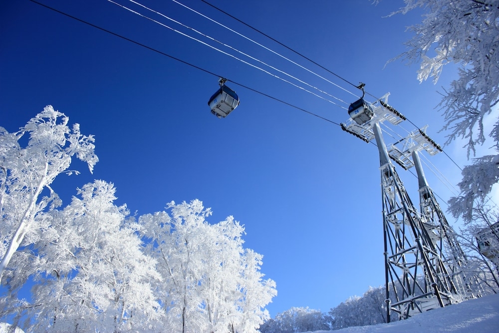 숙박 시설 구내