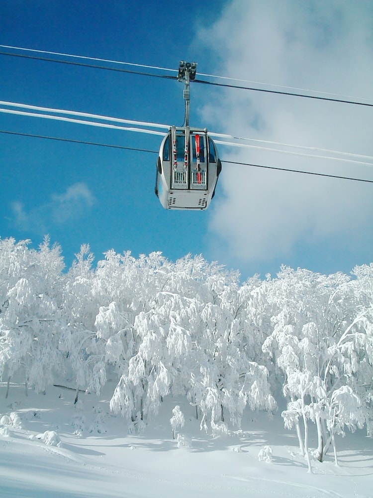 스키 및 겨울 스포츠