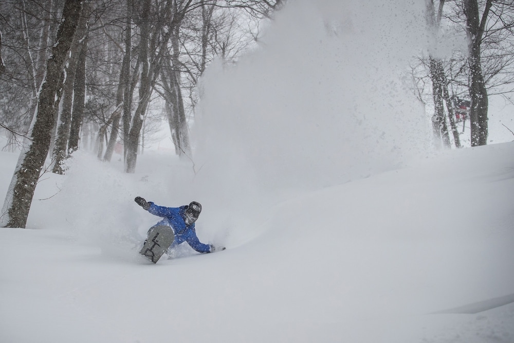 스키 및 겨울 스포츠