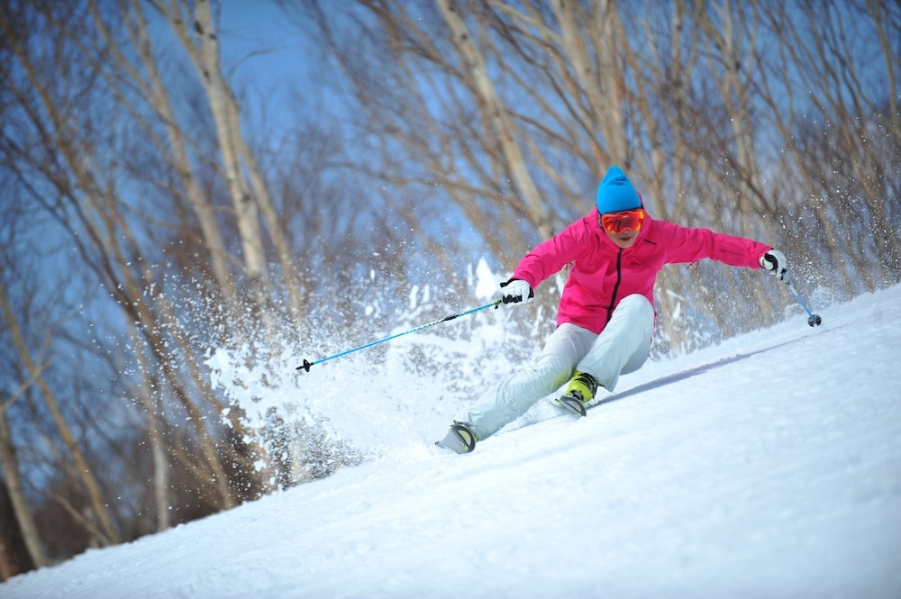 스키 및 겨울 스포츠