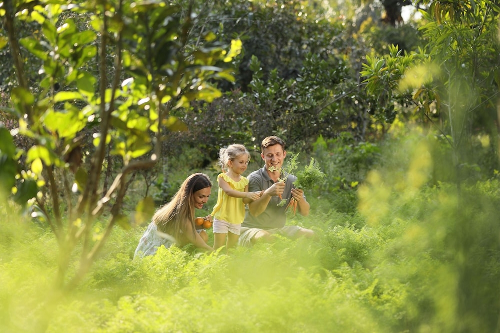 어린이 즐길거리
