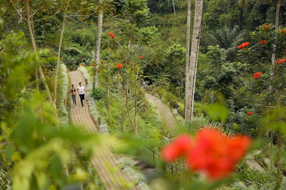 어린이 즐길거리