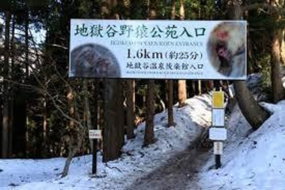 어린이 즐길거리