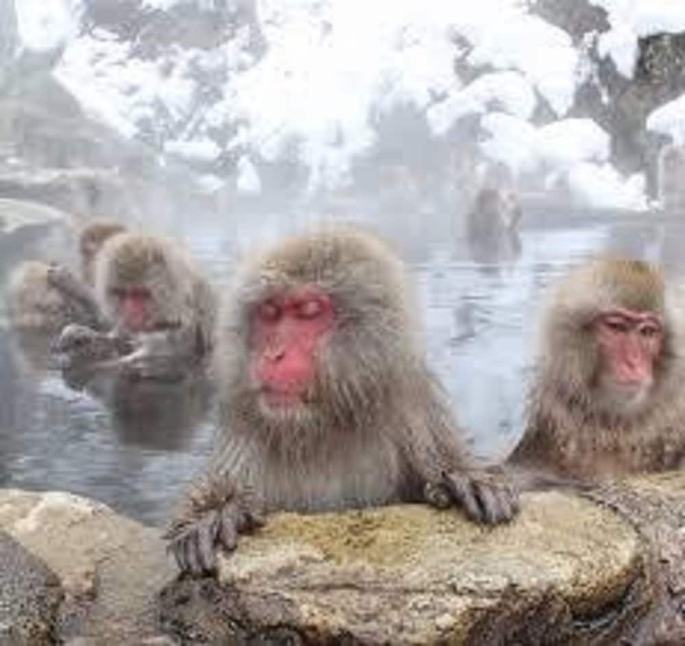 어린이 즐길거리