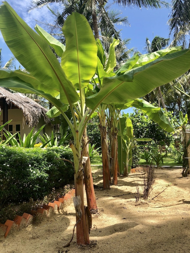 숙박 시설 구내