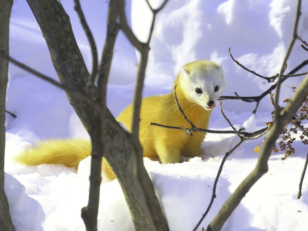 숙박 시설 구내